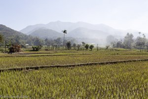 Blick über die Reisterrassen auf die Shan-Berge