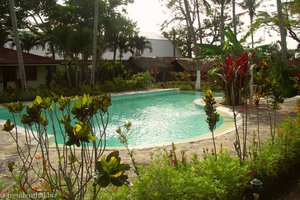 Pool vom Hotel Palococo