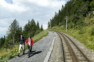 Wanderer am Rigi