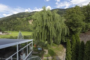 Aussicht ins Grüne vom Hotel Alpenhof