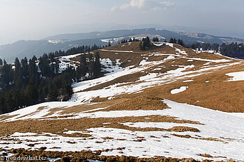halbe Winterlandschaft unterhalb vom Tanzboden