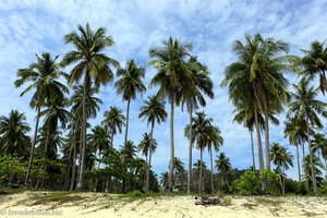 Palmen am Paradise Beach von Ko Hai