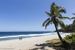 An der Grande Anse auf La Réunion