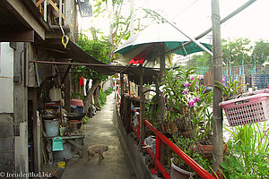 Fußweg entlang einem Klong in Bangkok.