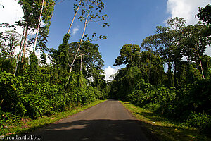 Straße zwischen La Fortuna und Nuevo Arenal