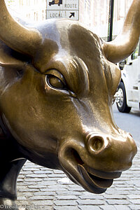 der Charging Bull von New York