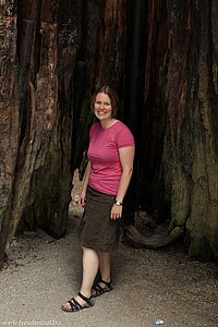 Anne im Hollow Tree - Stanley Park