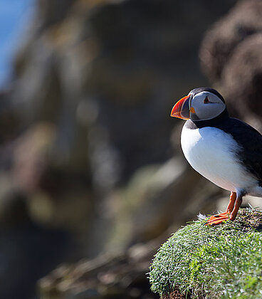 Schottland mit den Shetland Islands