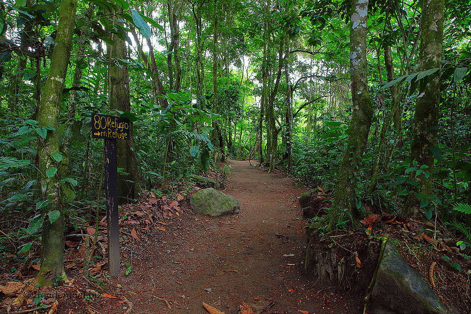 Unterwegs auf dem Sloth Watching Trail bei La Fortuna