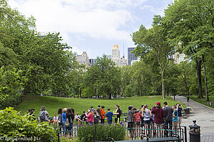 Spaziergang durch den Central Park von New York