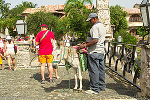 Eselreiten Altos de Chavón