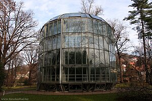 Gewächshaus der Kamelie in Dresden