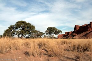 Grassavanne am Rande des Namib Naukluft Park
