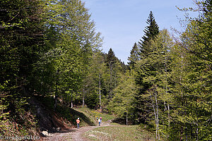 Wanderung über Spicher zum Ofenloch