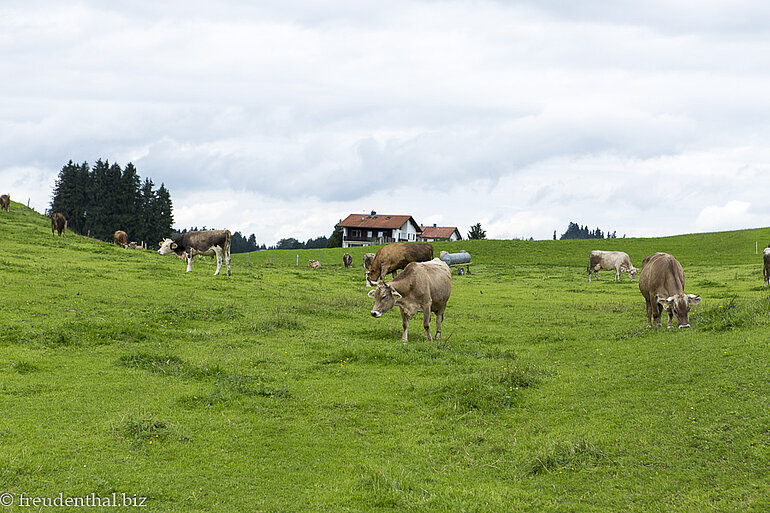 Seeweiler