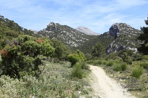 Wanderweg um den Puig des Tossals Verds