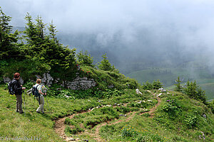 Wanderweg vom Niederbauen-Chulm nach Tritt