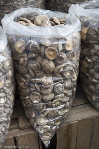Getrocknete Pilze in Chinatown von Yangon