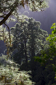 Mirador de los Espejos