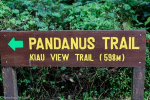 Wegweiser zum Pandanus und Kiau View Trail