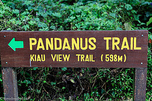 Wegweiser zum Pandanus und Kiau View Trail