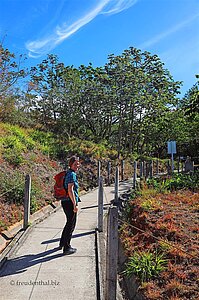 Der Fußweg im Eingangsbereich des Rincón-Parks