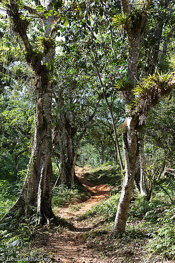 Rückweg auf dem Sendero Caburni