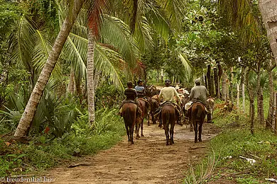 Dominikanische Cowboys