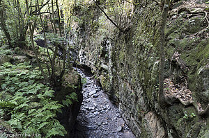 Blick von der Holzbrücke über den Barranco del Agua.