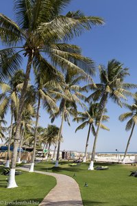 Garten mit Palmen beim Hilton Salalah Resort im Oman