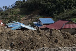 Taifun Mitag - die Dächer der Häuser schauen aus dem Schutt