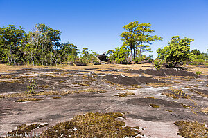 Hochebene Bolaven-Plateau