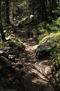 Wanderweg beim Big Beehive