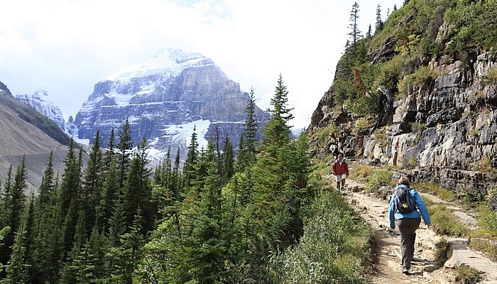 Wanderweg zur Plain of Six Glaciers beim Lake Louis