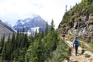 Aufstieg zum Plain of Six Glaciers