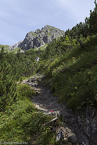 Hoher Schafalpenkopf auf dem Weg zur Fiderepasshütte