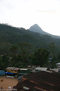 noch ein Blick zum Adams Peak