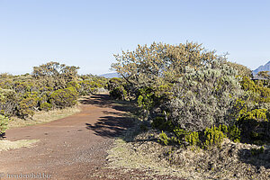 Wanderweg beim Plateau nes de Boef