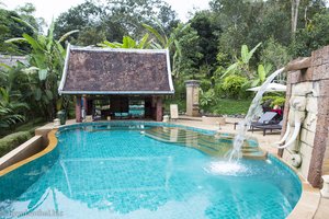 Pool im Elephant Village Resort