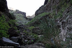 In die Masca-Schlucht gestürzte Felsbrocken