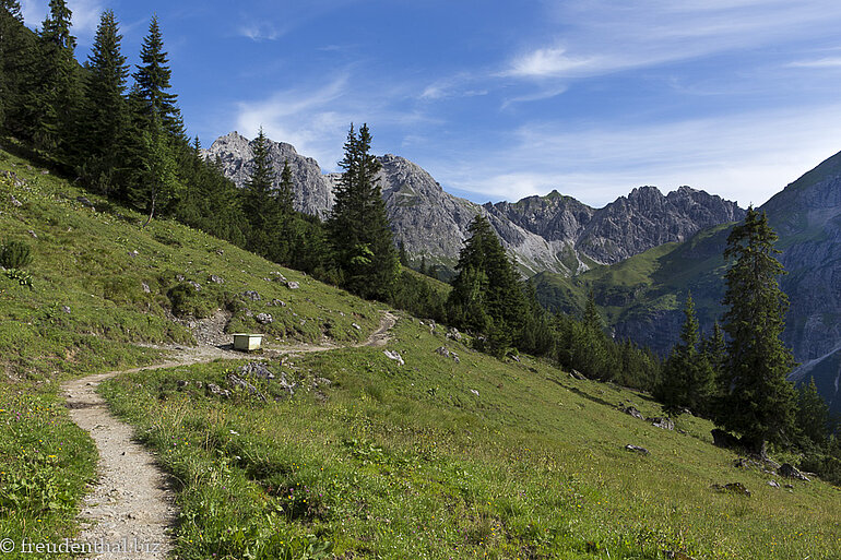 Wanderweg Richtung Schafalpenköpfe