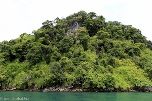 Insel in der östlichen Phang Nga Bay
