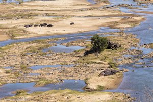 Blick auf die Flusspferde vom Aussichtspunkt N'wamanzi