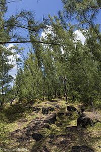 auf dem Wanderweg zur Pointe de la Table, der Spitze des Tisches