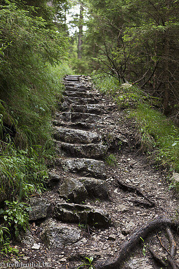 Steintreppen unterhalb Falkenstein