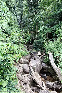 Wasserfall im Morne Seychellois Nationalpark