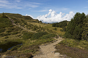 Wanderweg über das Chaltenbrunnen-Moor