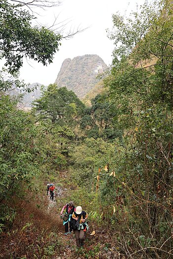 Trekking über einen Kalkhügel in Cao Bang