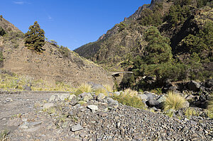 Fast schon wieder am Parkplatz der Caldera de Taburiente