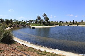 Teich im Botanicactus